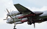 Xung đột Nga-Ukraine ngày 114: Tên lửa Nga xé nát MiG-29 Ukraine