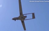 Moscow: Nga rút quân, Ukraine cũng đừng mong chiếm lại đảo Rắn