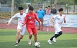 [ẢNH] Chân dung 16 đội bóng hay nhất mùa này