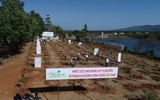 [ẢNH] Dàn Hoa hậu, người đẹp Việt Nam hào hứng trồng cây xanh ở Tây Nguyên