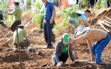 [ẢNH] Dàn Hoa hậu, người đẹp Việt Nam hào hứng trồng cây xanh ở Tây Nguyên