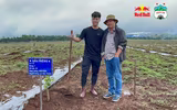 [ẢNH] Không thi đấu, Công Phượng, Xuân Trường tất bật đi... trồng sầu riêng