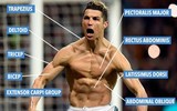 [ẢNH] Bí quyết giữ vóc dáng và phong độ của Ronaldo ở tuổi 36