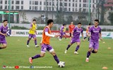 Quang Hải tạm gác chuyện tương lai, dồn sức cho ĐT Việt Nam
