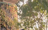 Đường cong nóng bỏng của bạn gái mới Quang Hải