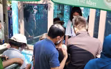 Người hâm mộ nghẹt thở chen nhau mua vé xem U23 Việt Nam