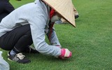 Cận cảnh sân Việt Trì đẹp mướt mắt trước ngày U23 Việt Nam thi đấu