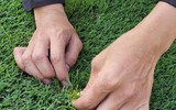 Cận cảnh sân Việt Trì đẹp mướt mắt trước ngày U23 Việt Nam thi đấu