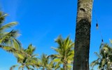 Ngỡ ngàng thân hình nóng bỏng của cựu cầu thủ nữ Việt Nam
