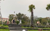 Ngỡ ngàng thân hình nóng bỏng của cựu cầu thủ nữ Việt Nam