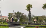 Ngỡ ngàng thân hình nóng bỏng của cựu cầu thủ nữ Việt Nam