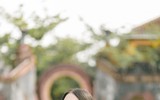 Vẻ đẹp hoa khôi bóng chuyền dự thi Miss World Vietnam 2023