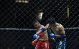 Những đòn đánh MMA hóc hiểm ở Lion Championship 2023
