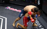 Những đòn đánh MMA hóc hiểm ở Lion Championship 2023