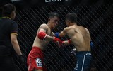 Những đòn đánh MMA hóc hiểm ở Lion Championship 2023