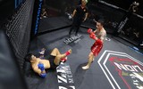 Những đòn đánh MMA hóc hiểm ở Lion Championship 2023