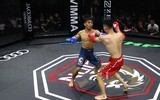 Những đòn đánh MMA hóc hiểm ở Lion Championship 2023