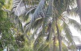 Bạn gái xinh như mộng khiến thủ môn Quan Văn Chuẩn say đắm