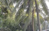 Bạn gái xinh như mộng khiến thủ môn Quan Văn Chuẩn say đắm