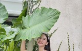 Nhan sắc cô vợ hotgirl của cựu tuyển thủ U23 Việt Nam