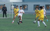 THPT Nguyễn Quốc Trinh thắng áp đảo trường Trần Nhân Tông