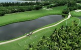 Sân golf Vinpearl đẹp như một kiệt tác giữa Nha Trang