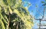 Vẻ đẹp bạn gái hơn 3 tuổi của thủ môn U23 Việt Nam