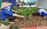 Cầu vượt nút giao Nguyễn Văn Huyên 580 tỷ đồng sắp khánh thành
