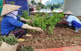 Cầu vượt nút giao Nguyễn Văn Huyên 580 tỷ đồng sắp khánh thành