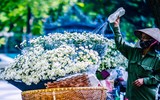 Có một loài hoa đặc biệt gây thương nhớ lúc chớm đông Hà Nội...