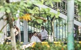 [ẢNH] Hà Nội ngày đầu giãn cách xã hội: Chen nhau đi chợ sớm, vẫn tập thể dục, cắt tóc ngoài đường...