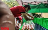 Hình ảnh rất Hà Nội tại cửa hàng thiết yếu không người bán đầu tiên phục vụ người dân phố cổ 