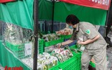Hình ảnh rất Hà Nội tại cửa hàng thiết yếu không người bán đầu tiên phục vụ người dân phố cổ 