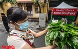 Hình ảnh rất Hà Nội tại cửa hàng thiết yếu không người bán đầu tiên phục vụ người dân phố cổ 