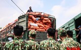 [ẢNH] Xúc động hình ảnh công an, quân đội đội nắng trưa bốc xếp thực phẩm chi viện cho TP. HCM