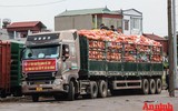 [ẢNH] Xúc động hình ảnh công an, quân đội đội nắng trưa bốc xếp thực phẩm chi viện cho TP. HCM