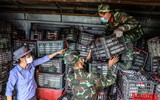 [ẢNH] Xúc động hình ảnh công an, quân đội đội nắng trưa bốc xếp thực phẩm chi viện cho TP. HCM