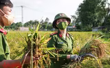 [Ảnh] Công an Thủ đô đội nắng, thâu đêm cứu lúa giúp nông dân trong khu phong tỏa