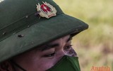 [Ảnh] Công an Thủ đô đội nắng, thâu đêm cứu lúa giúp nông dân trong khu phong tỏa