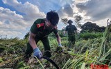[Ảnh] Công an Thủ đô đội nắng, thâu đêm cứu lúa giúp nông dân trong khu phong tỏa