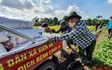[Ảnh] Công an Thủ đô đội nắng, thâu đêm cứu lúa giúp nông dân trong khu phong tỏa