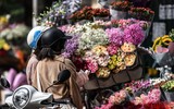Hà Nội: Thanh niên đi cầu duyên, bái vọng ở chùa Hà trong ngày Phụ nữ Việt Nam