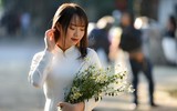 Xao xuyến hình ảnh thiếu nữ Hà Thành bên cúc họa mi gọi Đông về trên phố