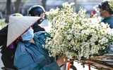 Xao xuyến hình ảnh thiếu nữ Hà Thành bên cúc họa mi gọi Đông về trên phố