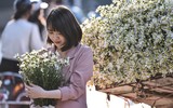 Xao xuyến hình ảnh thiếu nữ Hà Thành bên cúc họa mi gọi Đông về trên phố