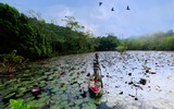 Ngỡ ngàng với cảnh đẹp như tranh của suối Yến chùa Hương mùa hoa súng tháng 11