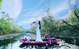 Ngỡ ngàng với cảnh đẹp như tranh của suối Yến chùa Hương mùa hoa súng tháng 11