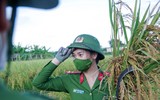 Ngỡ ngàng với cảnh đẹp như tranh của suối Yến chùa Hương mùa hoa súng tháng 11