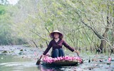 Ngỡ ngàng với cảnh đẹp như tranh của suối Yến chùa Hương mùa hoa súng tháng 11