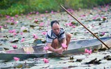 Ngỡ ngàng với cảnh đẹp như tranh của suối Yến chùa Hương mùa hoa súng tháng 11